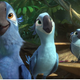 Image for article titled Too much story and too many bright colors bring down Rio 2